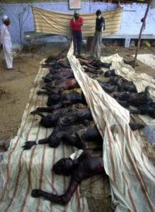 Gujarat carnage