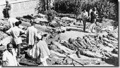 Bhopal disaster8