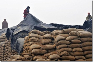 No godowns for food grains