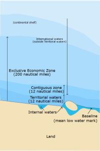 వికీపీడియా నుండి