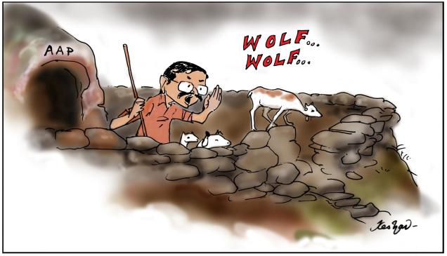 AAP's wolf