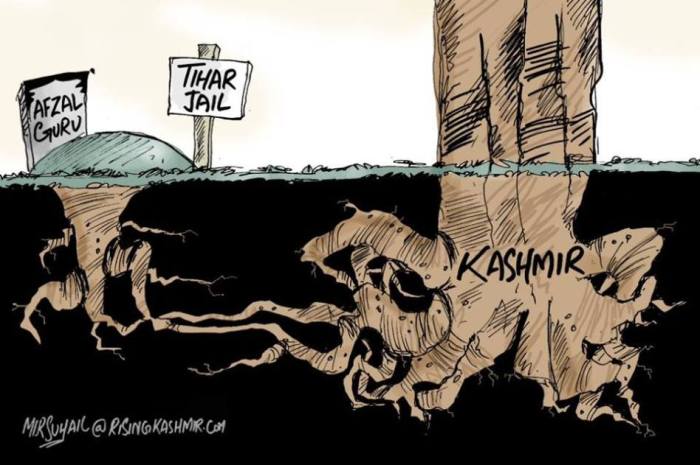 Afzal cartoon downed by FB