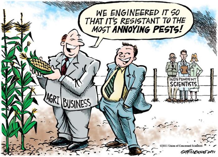 Agri business