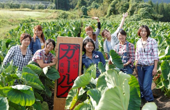 Japan Agriculture