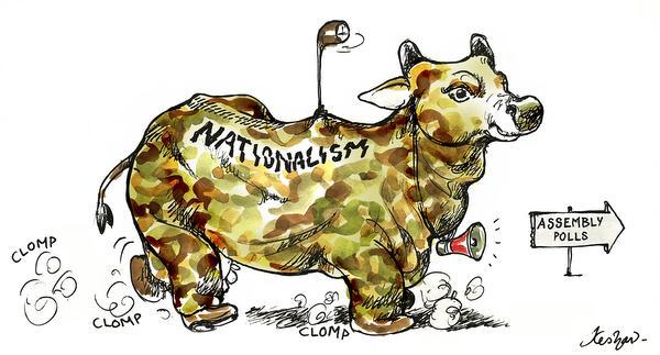 nationalism-for-assembly-polls